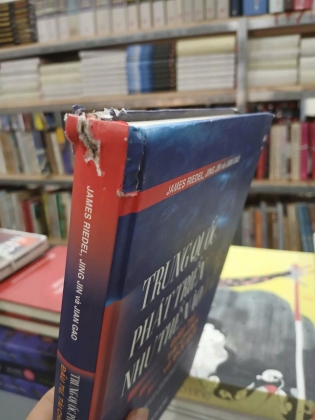 TRUNG QUỐC PHÁT TRIỂN NHƯ THẾ NÀO (BÌA CỨNG) - JAMES RIEDEL, JING JIN VÀ JIAN GAO