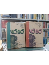 VỠ BỜ - NGUYỄN ĐÌNH THI