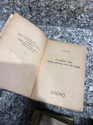 TÔ ĐÔNG PHA NHỮNG PHƯƠNG TRỜI VIỄN MỘNG - TUỆ SỸ