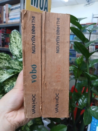 VỠ BỜ - NGUYỄN ĐÌNH THI