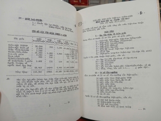 PHẬT GIÁO VIỆT NAM NGÀY NAY (1971) (BÌA CỨNG) - THÍCH THIỆN HOA
