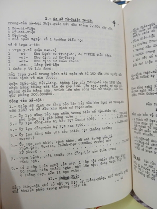 PHẬT GIÁO VIỆT NAM NGÀY NAY (1971) (BÌA CỨNG) - THÍCH THIỆN HOA