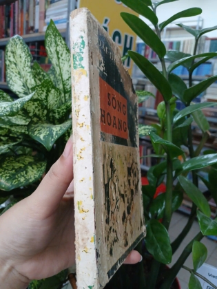 SÓNG HOANG - HOÀI ĐIỆP TỬ