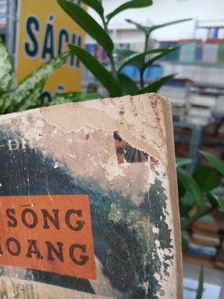 SÓNG HOANG - HOÀI ĐIỆP TỬ