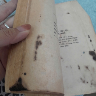 DƯỢC LÝ TRỊ LIỆU THUỐC NAM - BÙI CHÍ HIẾU