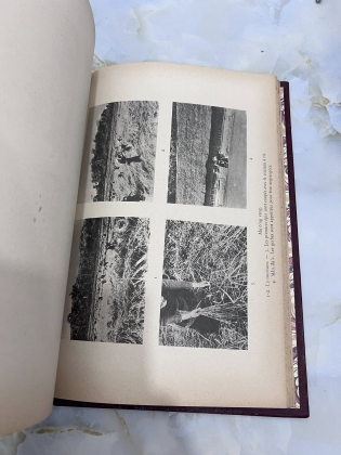 Les Mường - địa lý nhân văn và xã hội học (JEANNE CUISINIER)