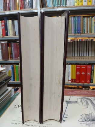 ĐẠI TẠNG KINH VIỆT NAM NAM TRUYỀN (TẬP 1 VÀ TẬP 2) (BÌA CỨNG) - VIỆT DỊCH: THÍCH MINH CHÂU