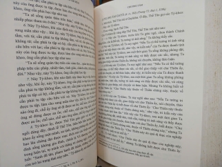 ĐẠI TẠNG KINH VIỆT NAM NAM TRUYỀN (TẬP 1 VÀ TẬP 2) (BÌA CỨNG) - VIỆT DỊCH: THÍCH MINH CHÂU
