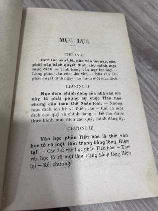 VIẾT VÀ TÌM NGHĨA VĂN HỌC - XUÂN HUY 