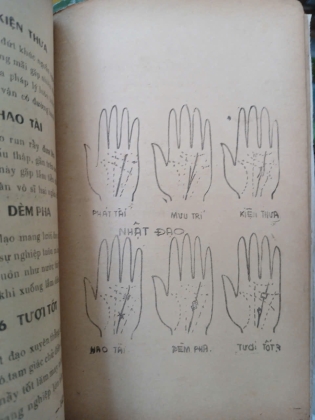 XEM CHỈ TAY - HUỲNH LIÊN TỬ