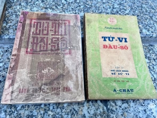 TỬ VI ĐẨU SỐ - NGUYỄN MẠNH BẢO