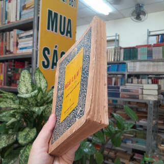 NGÀI LÀ AI? - THIÊN PHONG