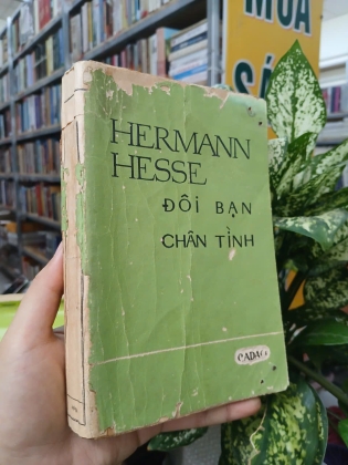 ĐÔI BẠN CHÂN TÌNH - HERMANN HESSE (VŨ ĐÌNH LƯU DỊCH)