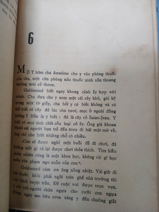 ĐÔI BẠN CHÂN TÌNH - HERMANN HESSE (VŨ ĐÌNH LƯU DỊCH)
