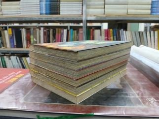 THỨC TỈNH VÀ YÊN NGỦ (TẬP 1 - 6) - RENDA HITORI