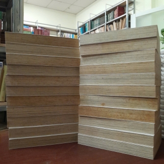 TRUYỆN TRANH INUYASHA - RUMIKO TAKAHASHI (TUYẾT NHUNG DỊCH)