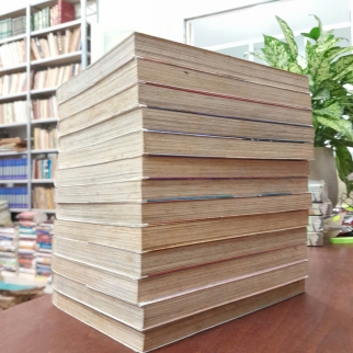 XÓM TRỌ YÊU QUÁI (TẬP 1 - 13) - HONOWA KOUZUKI & WAKA MIYAMA