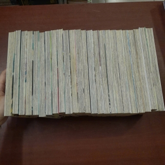 TRUYỀN THUYẾT BĂNG QUỶ (TẬP 1 - 24) - SUGIURA SHIHO