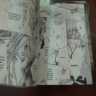 TRUYỀN THUYẾT BĂNG QUỶ (TẬP 1 - 24) - SUGIURA SHIHO