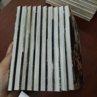 CÔ DÂU PHÁP SƯ (TẬP 1 - TẬP 10) - YAMAZAKI KORE