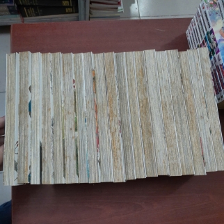 ALTAIR CÁNH ĐẠI BÀNG KIÊU HÃNH (TẬP 1 - TẬP 19) - KOTONO KATO