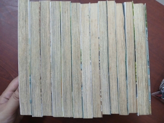 YOTSUBA (TẬP 1 - TẬP 13) - KIYOHIKO AZUMA