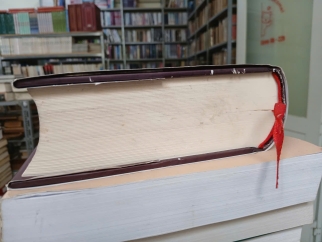 NGƯỜI VIỆT TRONG DÒNG LỊCH SỬ VĂN HÓA (BÌA CỨNG) - NGUYỄN XUÂN KÍNH