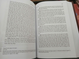 ĐẠI NAM THỰC LỤC CHÍNH BIÊN ĐỆ LỤC KỶ PHỤ BIÊN (BÌA CỨNG) - CAO TỰ THANH DỊCH VÀ GIỚI THIỆU