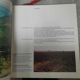 LE PORTUGAL - ALBERT D'HAENENS