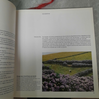 LE PORTUGAL - ALBERT D'HAENENS