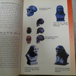 TỪ ĐIỂN LỊCH SỬ TRUNG QUỐC - TRẦN VĂN CHÁNH, NGUYỄN HỮU TÀI, HUỲNH QUANG VINH