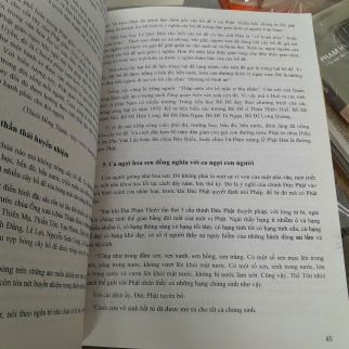 VĂN HÓA PHẬT GIÁO VÀ LỊCH SỬ CÁC NGÔI CHÙA Ở VIỆT NAM - QUÝ LONG, KIM THƯ