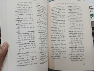 TRƯỜNG A-HÀM - TIỂU TẠNG THANH VĂN (TUỆ SỸ DỊCH VÀ CHÚ)
