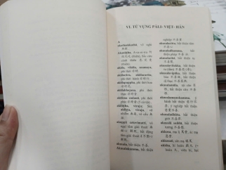 TRƯỜNG A-HÀM - TIỂU TẠNG THANH VĂN (TUỆ SỸ DỊCH VÀ CHÚ)