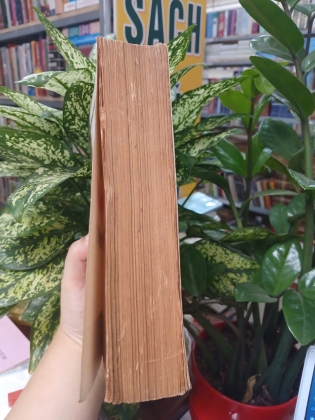 TỰ TRUYỆN HƯ VÂN HÒA THƯỢNG - CHÂU THỦY DỊCH THUẬT