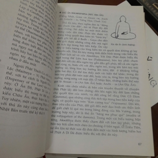 TRANH TƯỢNG VÀ THẦN PHỔ PHẬT GIÁO (BÌA CỨNG) - LOUIS FRÉDÉRIC ( PHAN QUANG ĐỊNH DỊCH)