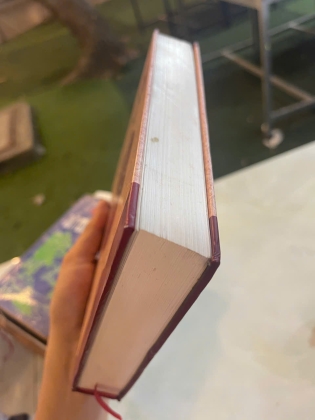 LÊ ĐẠI CANG NHÂN CÁCH BẬC QUỐC SĨ