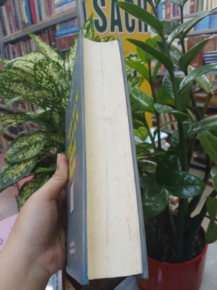 VIỆT NAM THI VĂN GIẢNG LUẬN (BÌA CỨNG) - HÀ NHƯ CHI