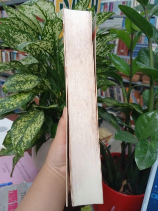 NGOẠI GIAO VÀ CÔNG TÁC NGOẠI GIAO - VŨ DƯƠNG HUÂN