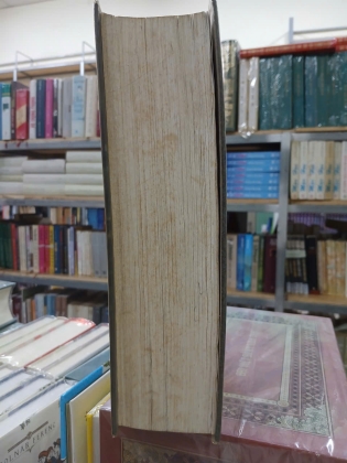 ÁNH ĐẠO NHIỆM MẦU (BÌA CỨNG) - QUẢNG NGUYỆN HUỲNH THANH 