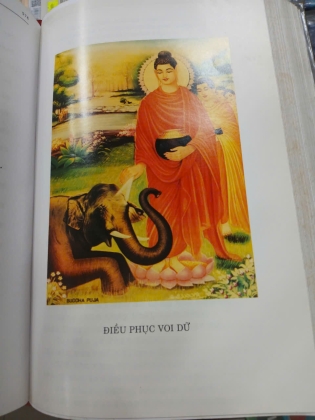 ÁNH ĐẠO NHIỆM MẦU (BÌA CỨNG) - QUẢNG NGUYỆN HUỲNH THANH 