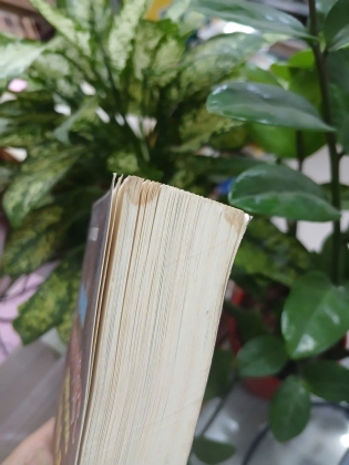 TỪ ĐIỂN HÁN VIỆT THÔNG DỤNG - LẠC THIỆN 