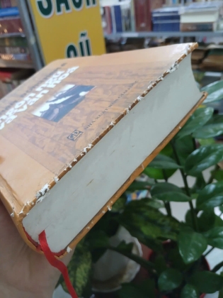 VIỆT NAM - ĐÔNG NAM Á NGÔN NGỮ VÀ VĂN HÓA (BÌA CỨNG) - PHẠM ĐỨC DƯƠNG