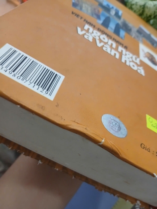 VIỆT NAM - ĐÔNG NAM Á NGÔN NGỮ VÀ VĂN HÓA (BÌA CỨNG) - PHẠM ĐỨC DƯƠNG