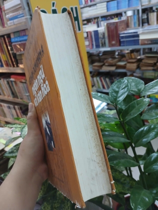 VIỆT NAM - ĐÔNG NAM Á NGÔN NGỮ VÀ VĂN HÓA (BÌA CỨNG) - PHẠM ĐỨC DƯƠNG