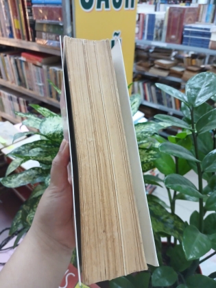 TÍN NGƯỠNG THÀNH HOÀNG VIỆT NAM - NGUYỄN DUY HINH 