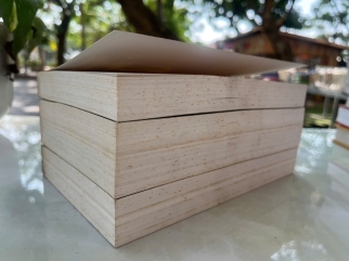 NGUYÊN THỦY TIỂU THỪA ĐẠI THỪA PHẬT GIÁO TƯ TƯỞNG LUẬN - KIMURA TAIKEN (THÍCH QUẢNG ĐỘ DỊCH)