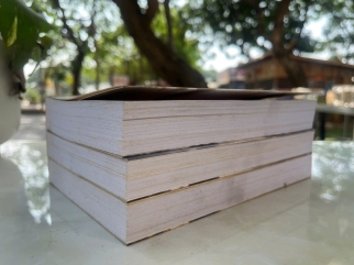 MỘT CUỘC ĐỜI MỘT VẦNG NHẬT NGUYỆT - MINH ĐỨC, TRIỀU TÂM ẢNH