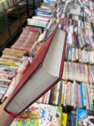 NGỮ PHÁP TIẾNG VIỆT (BÌA CỨNG) - DIỆP QUANG BAN