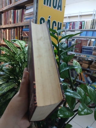 CHÂN ĐẠO CHÁNH TỐNG (BÌA CỨNG) - LÊ MẠNH THÁT